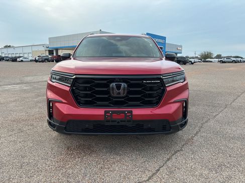 Used 2025 Honda Pilot Black Edition image 8