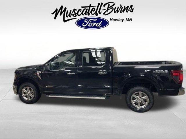 Used 2025 Ford F150 XLT w/ Equipment Group 301A Standard AWD/4WD image 4