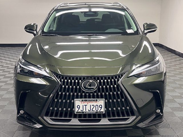 Certified 2024 Lexus NX 350 AWD w/ Cold Area Package image 3