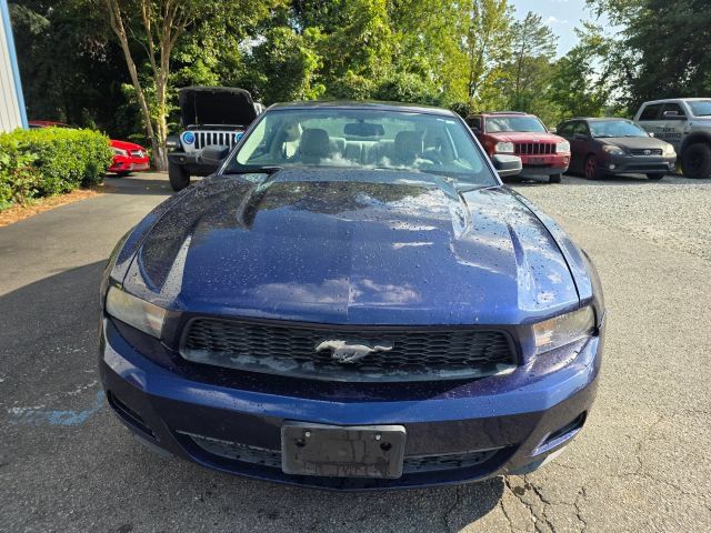 Used 2010 Ford Mustang Coupe RWD image 2
