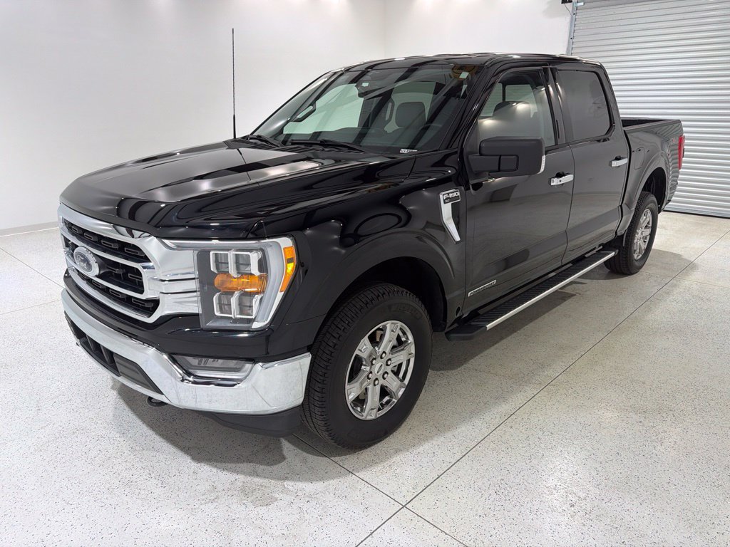 Used 2023 Ford F150 XLT w/ Equipment Group 302A High AWD/4WD image 1