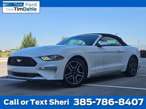 Certified 2023 Ford Mustang Premium RWD image 1