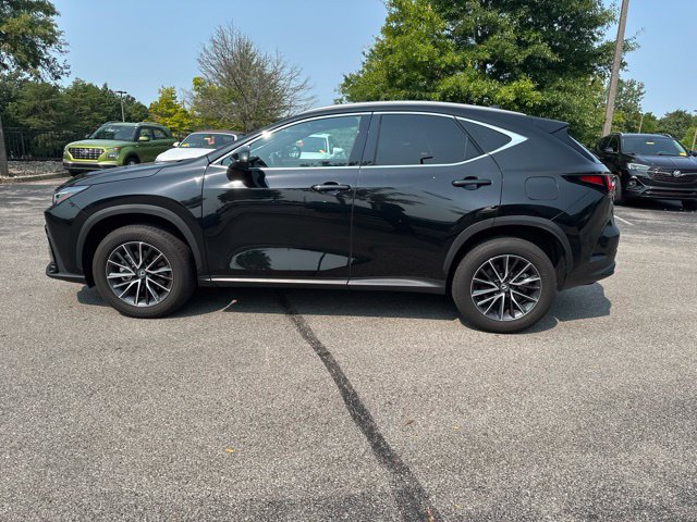 Used 2024 Lexus NX 350 AWD image 6