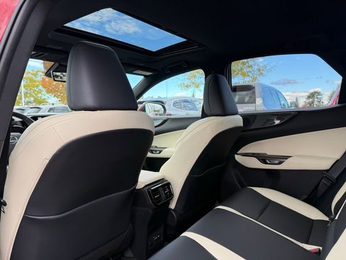 Used 2024 Lexus NX 350 AWD w/ Premium Package image 16