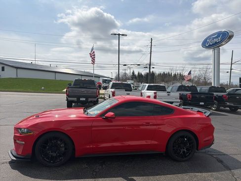 Used 2023 Ford Mustang Premium image 5