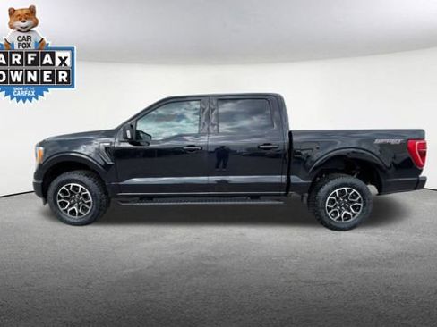 Certified 2023 Ford F150 XLT w/ Equipment Group 302A High AWD/4WD image 6