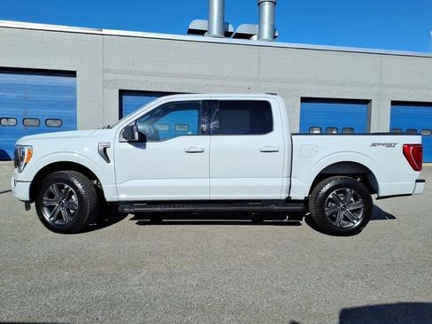 Used 2023 Ford F150 XLT w/ Equipment Group 302A High AWD/4WD image 2