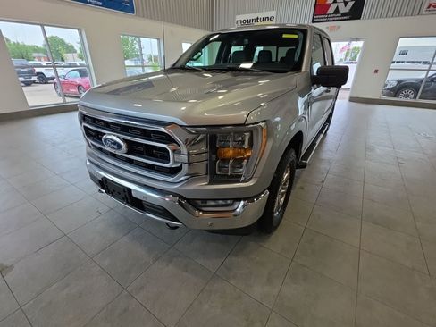 Used 2023 Ford F150 XLT w/ Equipment Group 302A High AWD/4WD image 1