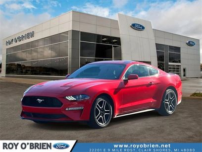 Certified 2019 Ford Mustang Premium w/ Equipment Group 201A