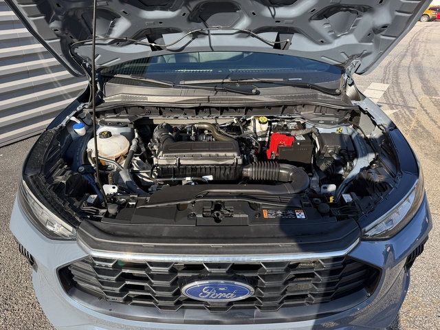 Used 2024 Ford Escape ST-Line w/ Tech Pack #1 AWD/4WD image 14