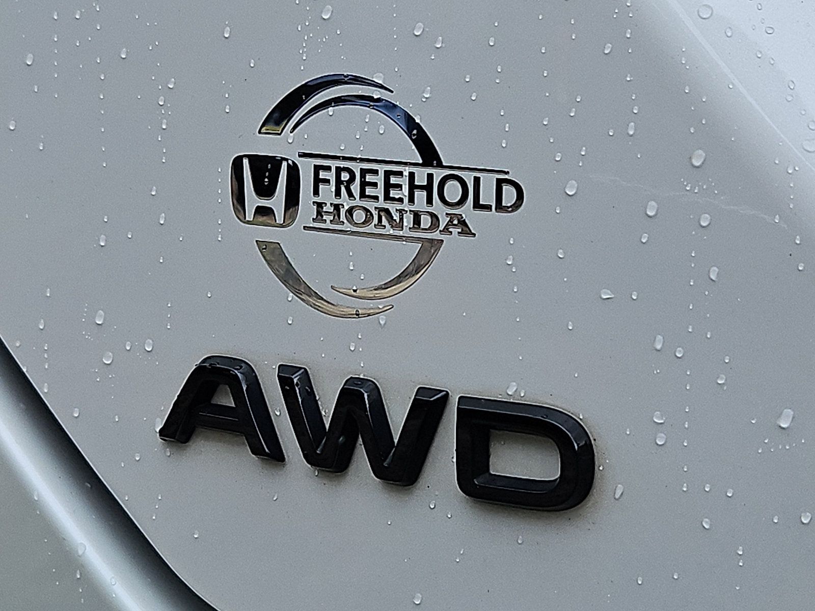 Certified 2023 Honda Pilot TrailSport image 35