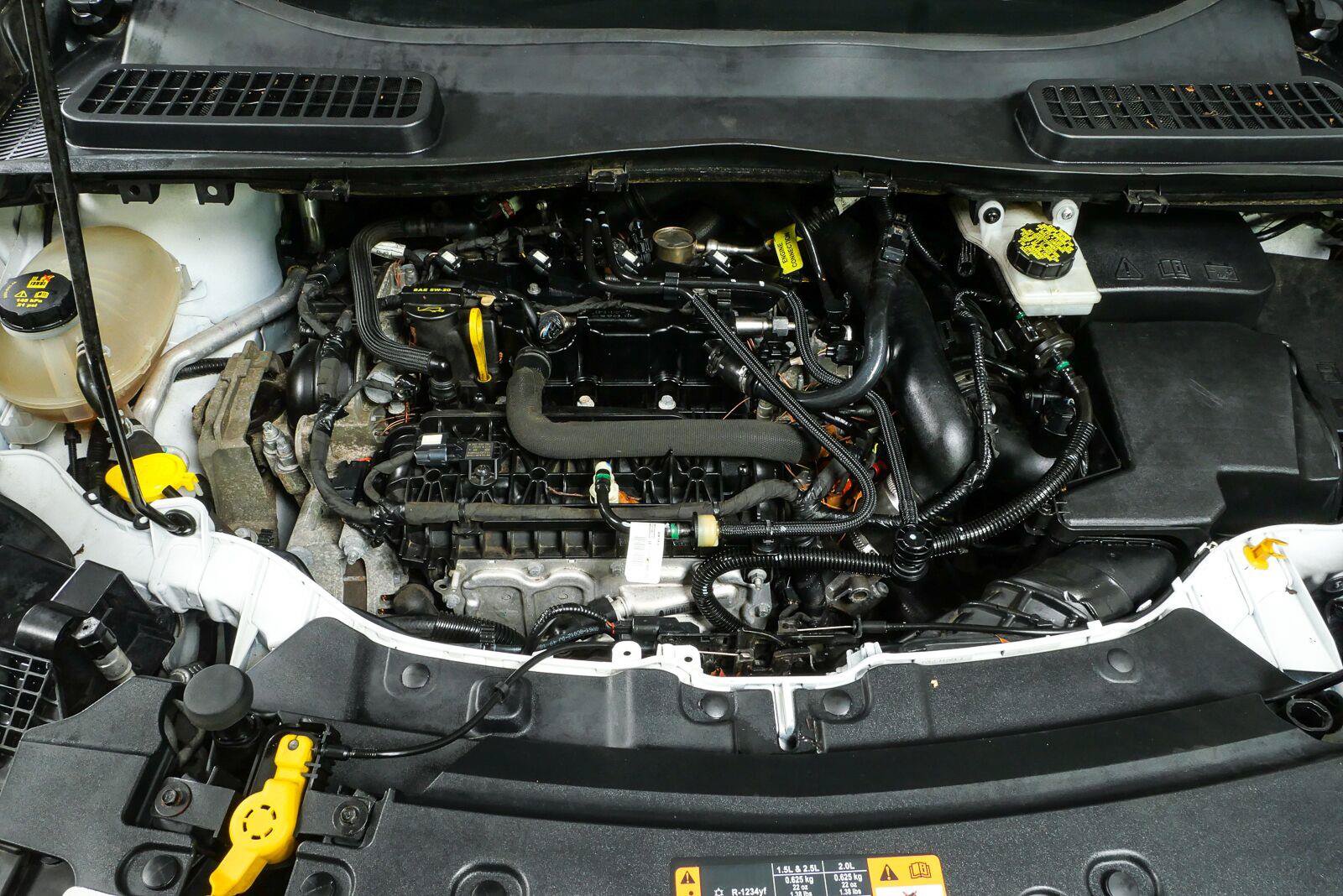 Used 2019 Ford Escape SE FWD image 32