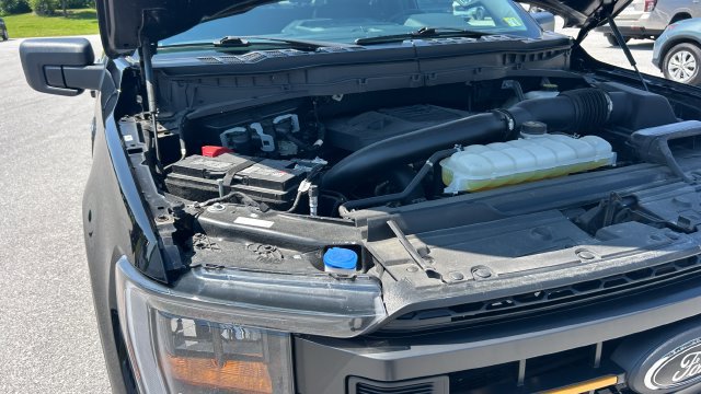 Used 2023 Ford F150 Tremor AWD/4WD image 45