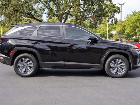 Used 2022 Hyundai Tucson Blue AWD/4WD image 6