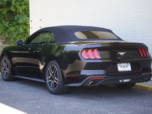 Used 2023 Ford Mustang Premium w/ Equipment Group 201A RWD image 7