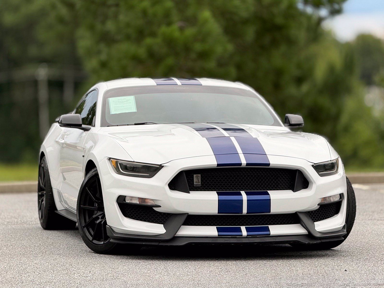 Used 2016 Ford Mustang Shelby GT350 w/ Technology Package RWD image 4