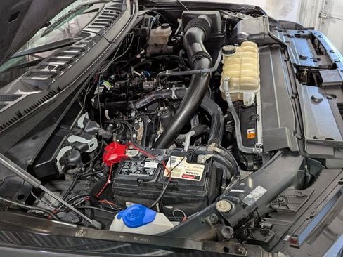 Used 2019 Ford F150 XLT w/ Equipment Group 302A Luxury image 41