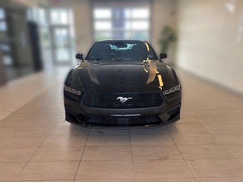 Used 2024 Ford Mustang Premium w/ Wheel & Stripe Package RWD image 5