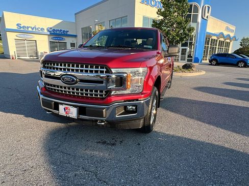 Used 2019 Ford F150 XLT w/ Equipment Group 302A Luxury AWD/4WD image 8