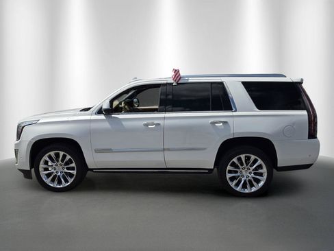 Used 2019 Cadillac Escalade Platinum RWD image 4
