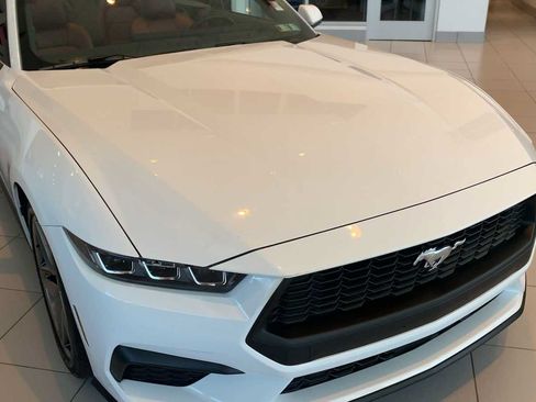 Used 2024 Ford Mustang Premium RWD image 2