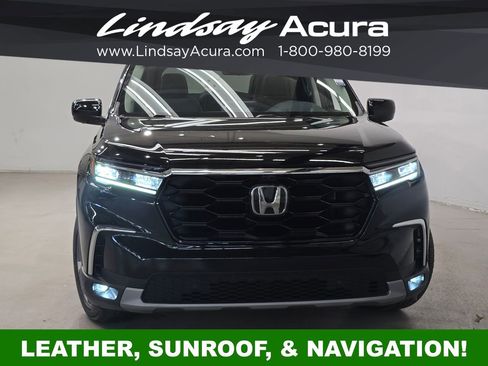 Used 2025 Honda Pilot Elite image 2