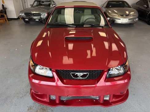 Used 2001 Ford Mustang GT RWD image 7