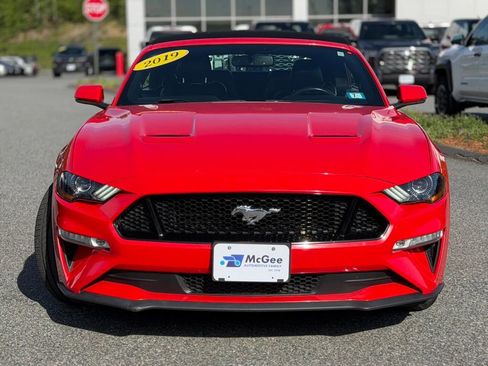 Used 2019 Ford Mustang GT Premium w/ Equipment Group 401A RWD image 6