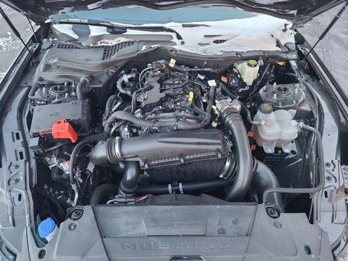 Used 2024 Ford Mustang Premium image 43