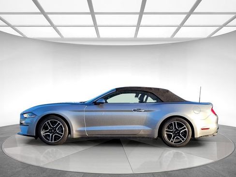 Used 2021 Ford Mustang Premium w/ Ford Safe & Smart Package image 8