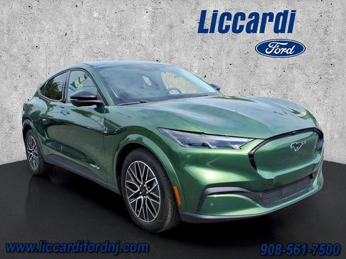 Used 2025 Ford Mustang Mach-E Premium RWD image 1