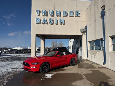 Used 2019 Ford Mustang Premium image 1