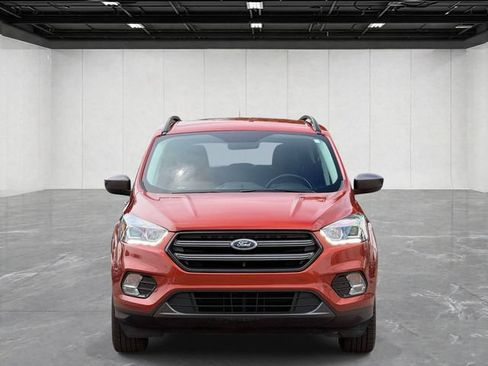 Used 2019 Ford Escape SEL AWD/4WD image 2