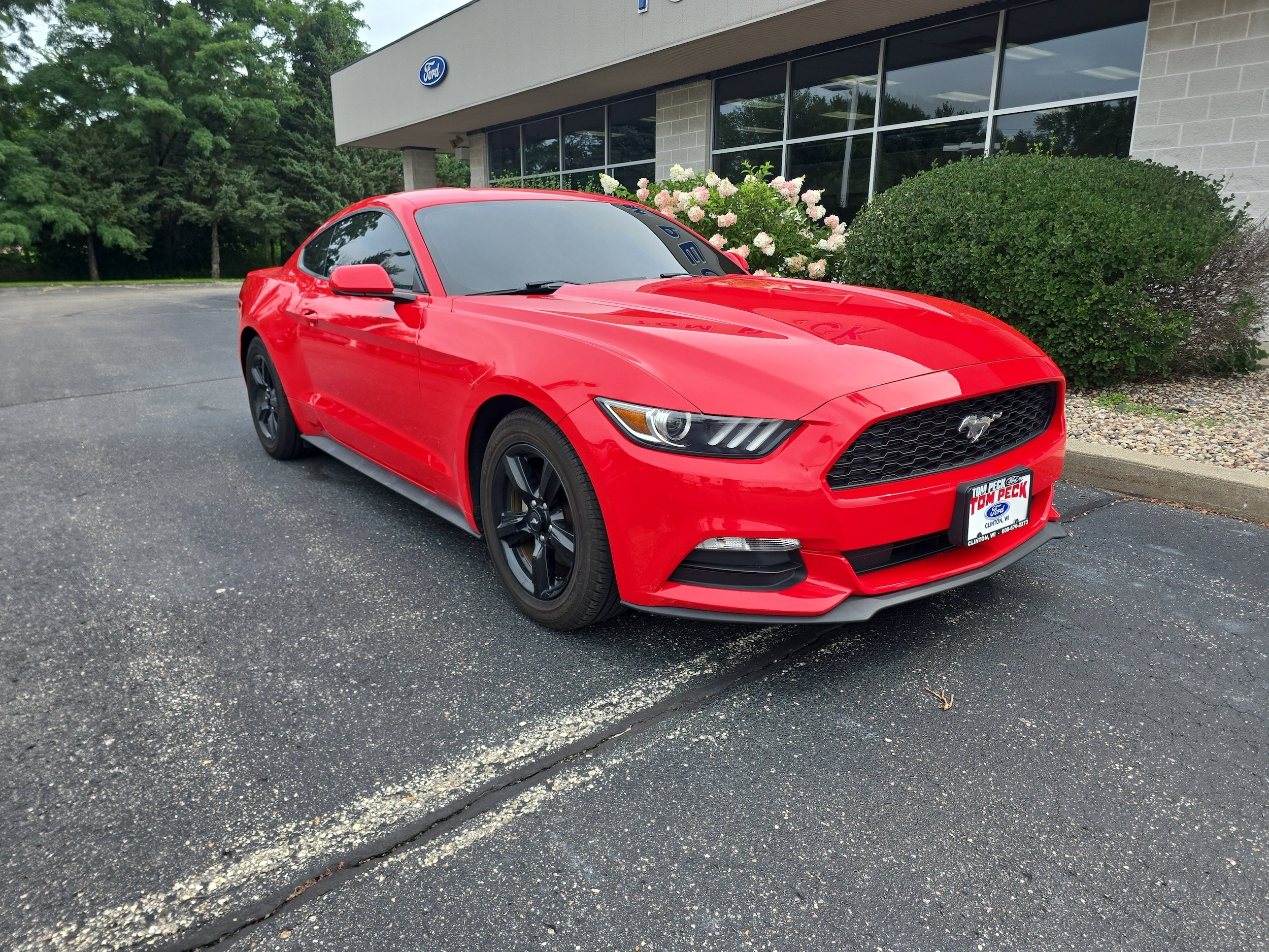 Used 2017 Ford Mustang Coupe RWD image 1