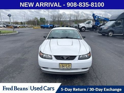 Used 2004 Ford Mustang Coupe RWD image 2