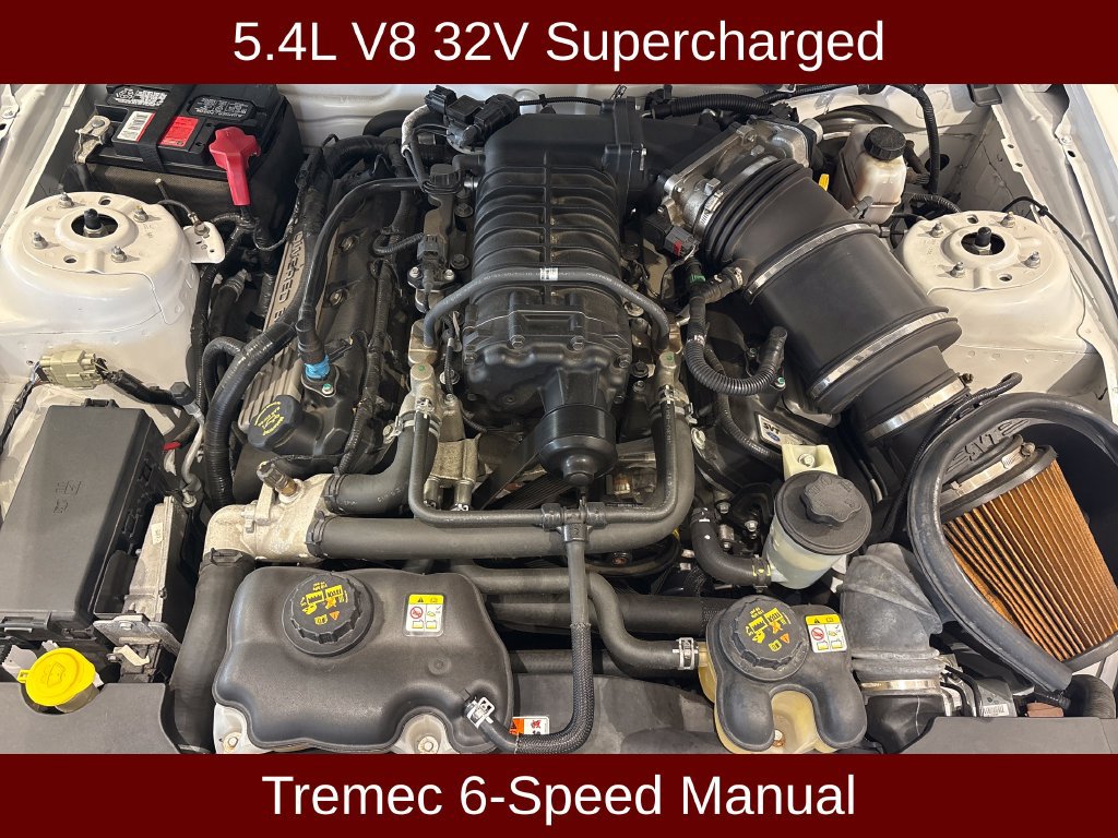 Used 2010 Ford Mustang Shelby GT500 RWD image 3