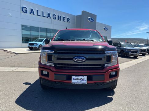 Used 2019 Ford F150 XLT w/ Equipment Group 302A Luxury AWD/4WD image 16