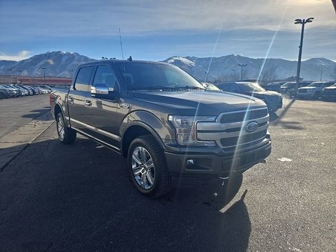 Used 2019 Ford F150 Platinum w/ Equipment Group 701A Luxury image 3