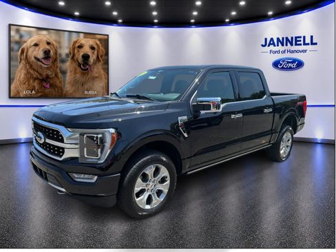 Used 2023 Ford F150 Platinum w/ Equipment Group 701A High AWD/4WD image 1