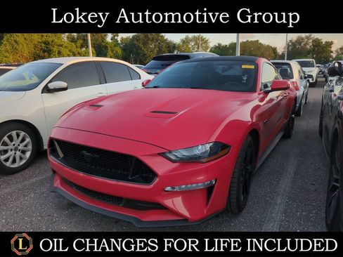 Used 2019 Ford Mustang GT Premium w/ Equipment Group 401A RWD image 1