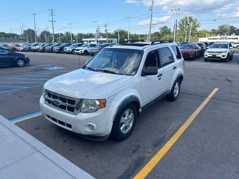 Used 2009 Ford Escape XLT FWD image 1