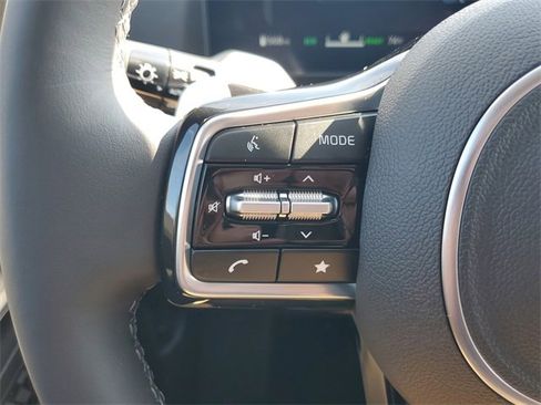 New 2026 Kia Carnival SX Prestige image 28