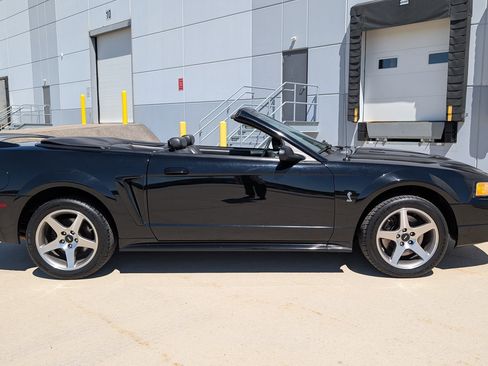 Used 1999 Ford Mustang Cobra RWD image 18