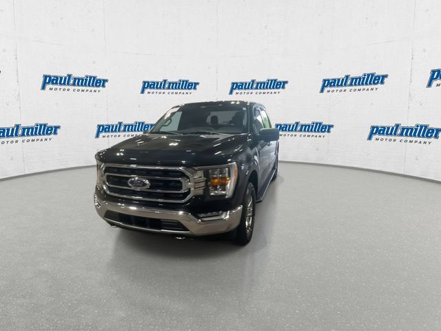 Used 2021 Ford F150 XLT w/ Equipment Group 302A High AWD/4WD image 5