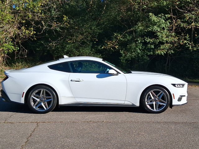 Used 2024 Ford Mustang Premium RWD image 6