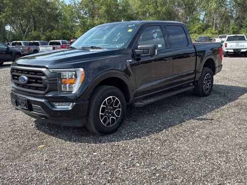 Used 2023 Ford F150 XLT w/ Equipment Group 302A High AWD/4WD image 2