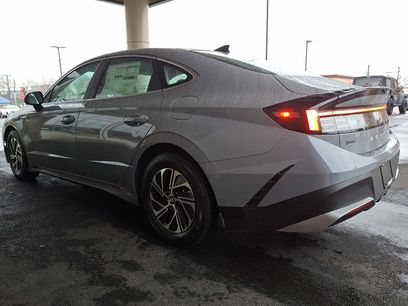 New 2026 Hyundai Sonata Blue