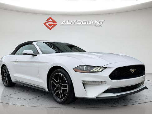 Used 2019 Ford Mustang Premium RWD image 13