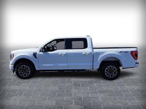 Used 2023 Ford F150 XLT w/ Equipment Group 302A High image 4
