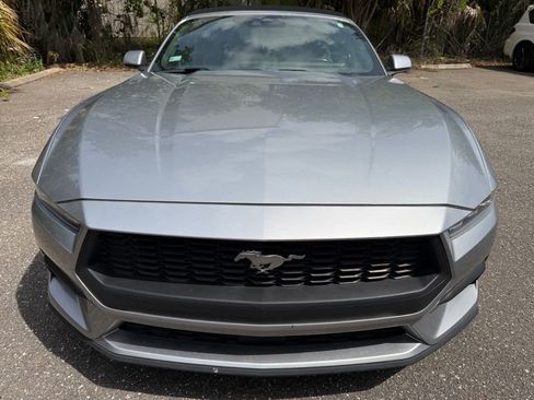 Used 2024 Ford Mustang Premium image 4